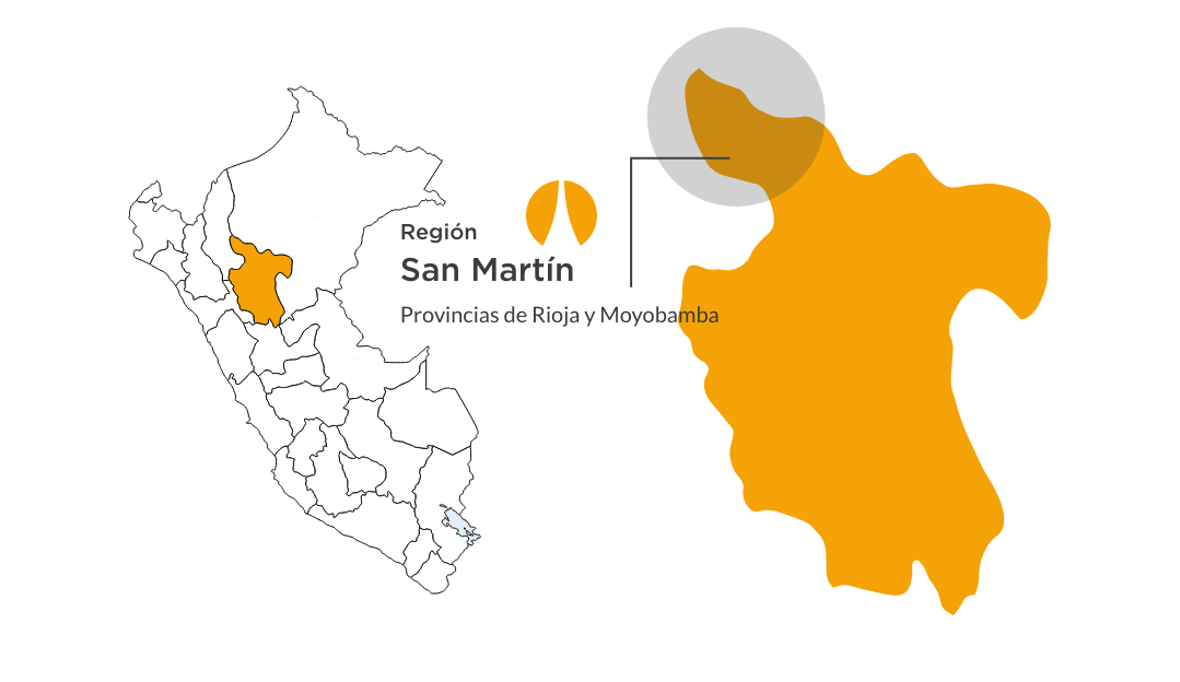 map-1.png. San Martin..png